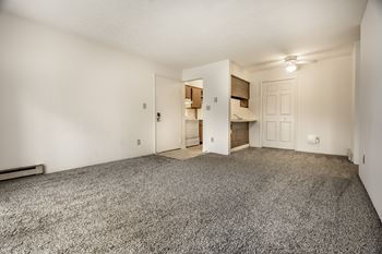 A room with a grey carpet and white walls